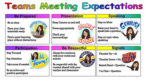 Teams Meeting Expectations  